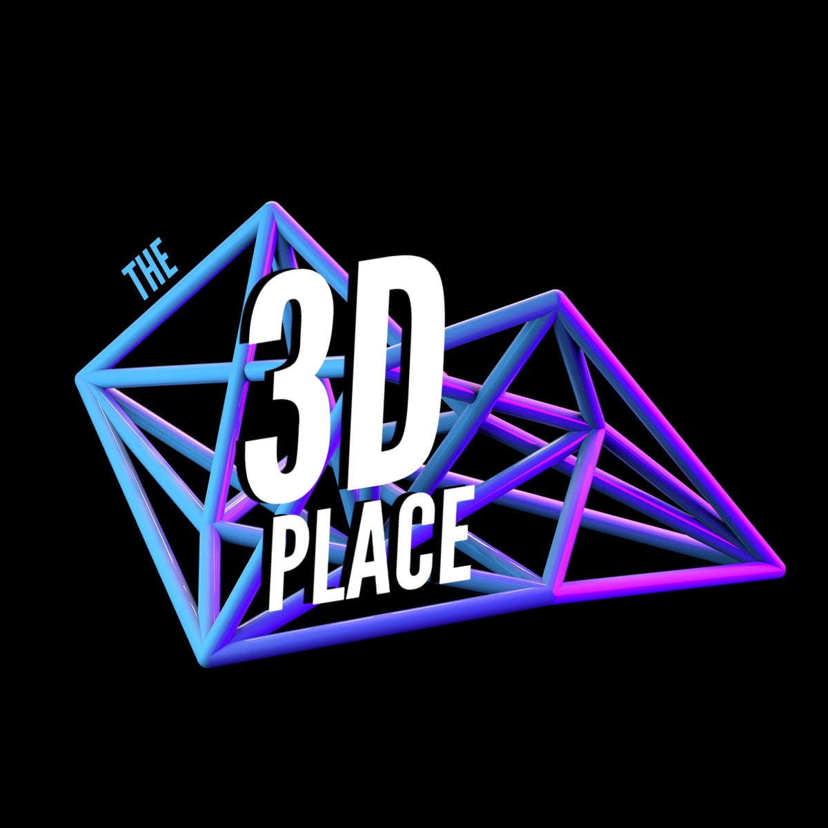 The 3D Place